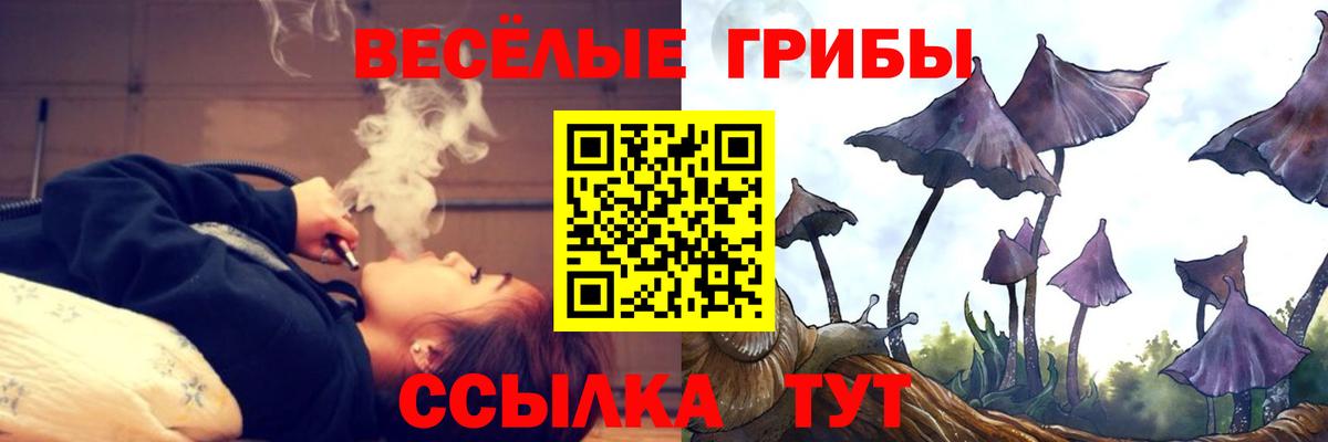Псилоцибиновые грибы Psilocybine cubensis  Вход с VPN  Славянск-на-Кубани  Галлюциногенные грибы Psilocybe 