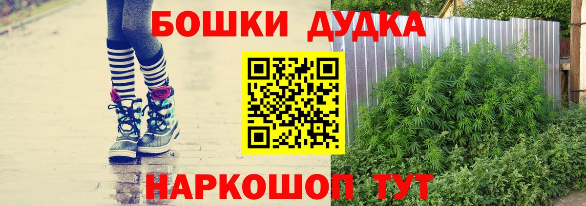 Бошки марихуана план Славянск-на-Кубани